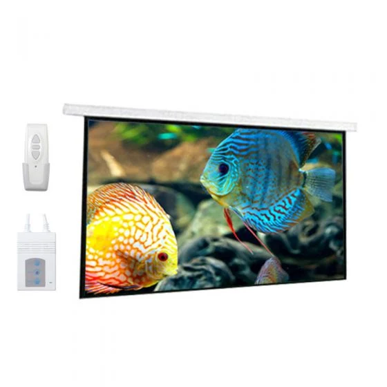 Apollo 70″x70″ Electric Projection Screen